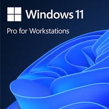 download (3) Windows 11 Professional Workstations Digital License